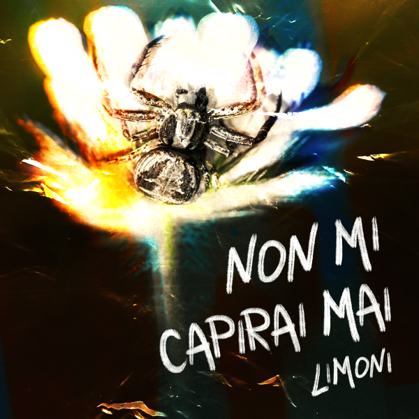 Il cantautore Indie Limoni presenta il suo nuovo singolo "Non mi capirai mai" Il cantautore Indie Limoni presenta il suo nuovo singolo "Non mi capirai mai"